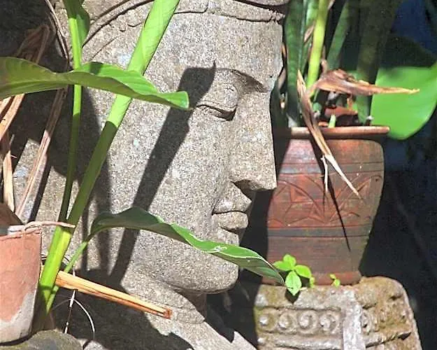 Taman Rahasia Tropical Sanctuary And Hotel Ubud (Bali)